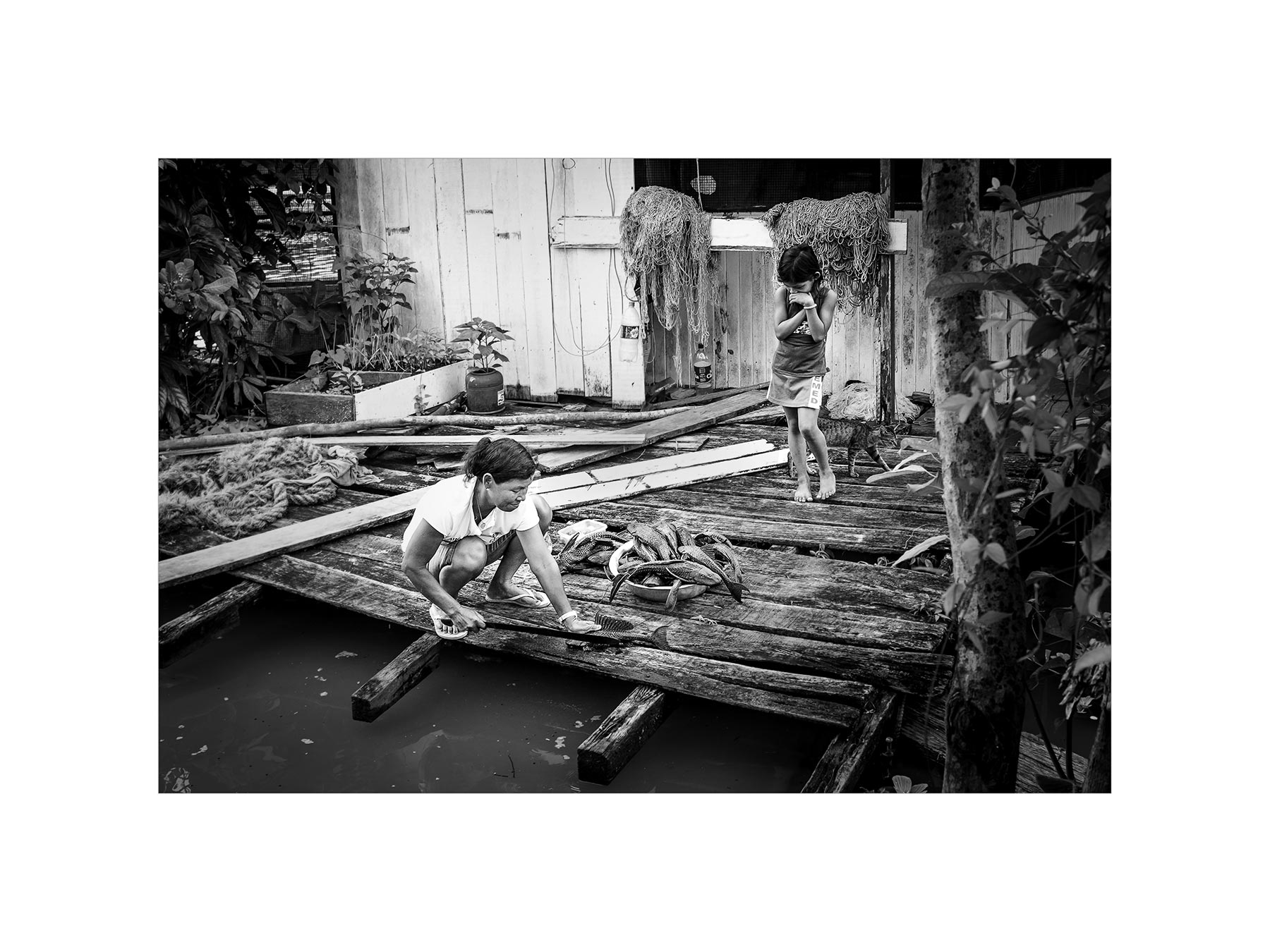 20150106-DSCF0931-2,pasp,web