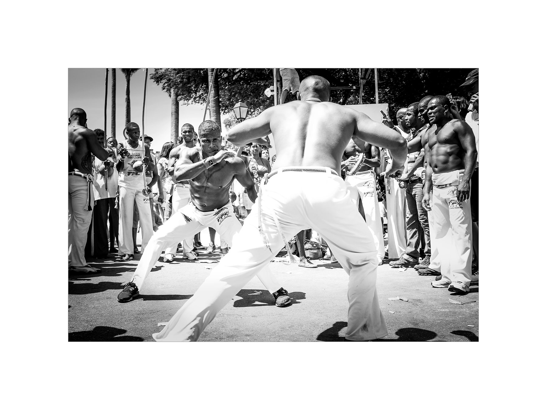 20150115-DSCF1615-2,pasp,web