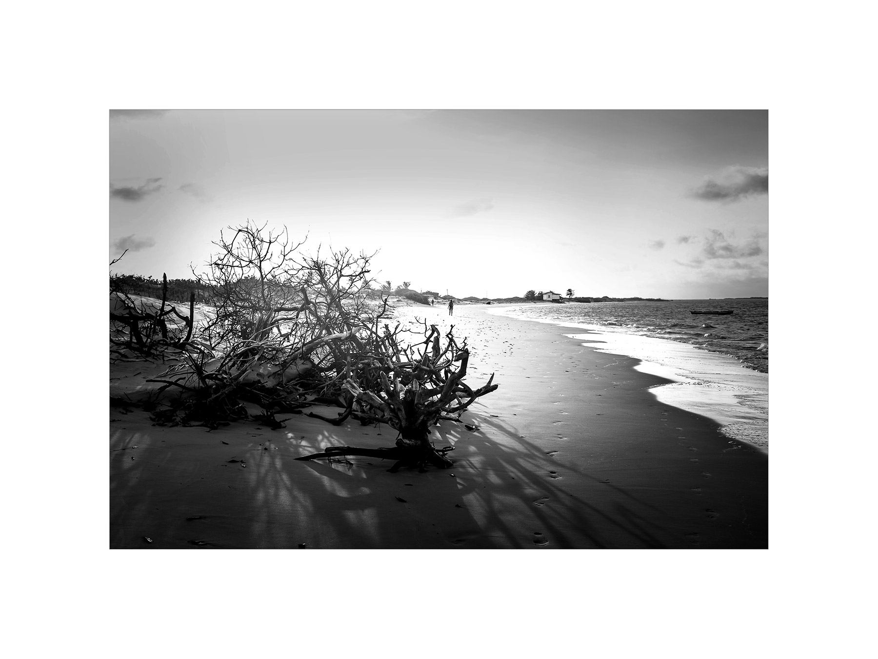 20150118-DSCF1967-2,pasp,web